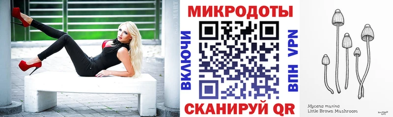 купить закладку  Томск  kraken зеркало  Галлюциногенные грибы мицелий 
